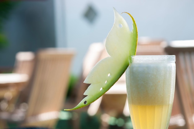 Suco de Aloe Vera: O Elixir da Vida do Antigo Egito aos Tempos Modernos